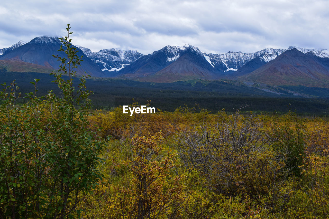 Scenic view of snowcapped mountains with autumn colours against cloudy sky