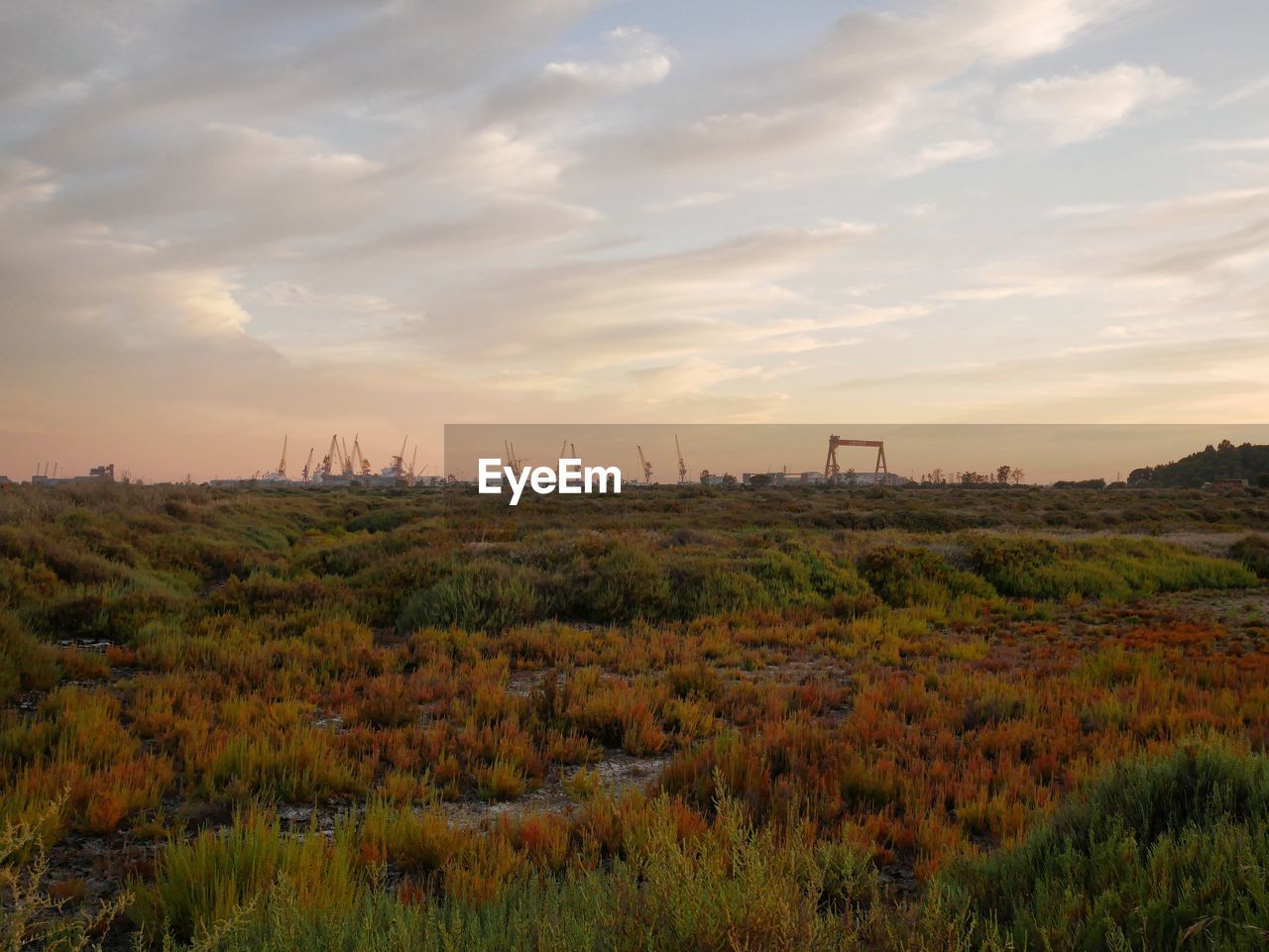 Scenic view of field against sky during sunset