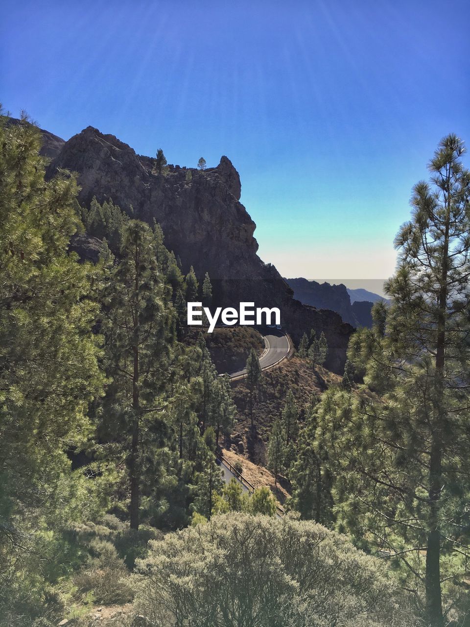 Low angle view of trees on rocks against sky