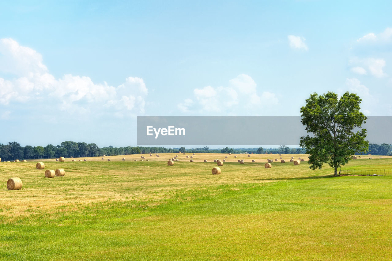 Hay bales on grassy field against sky