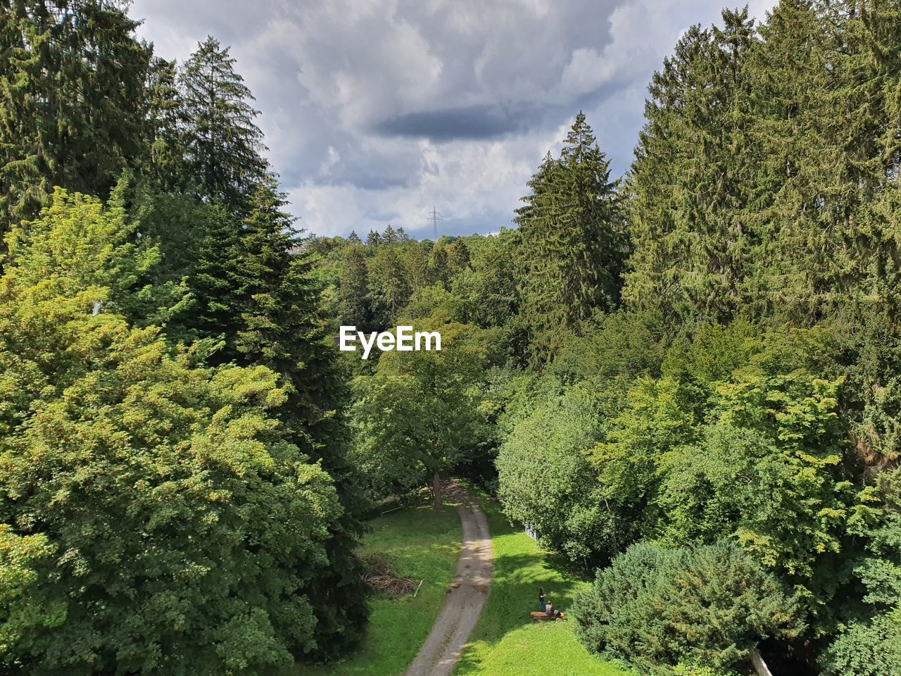 Scenic view of forest against sky