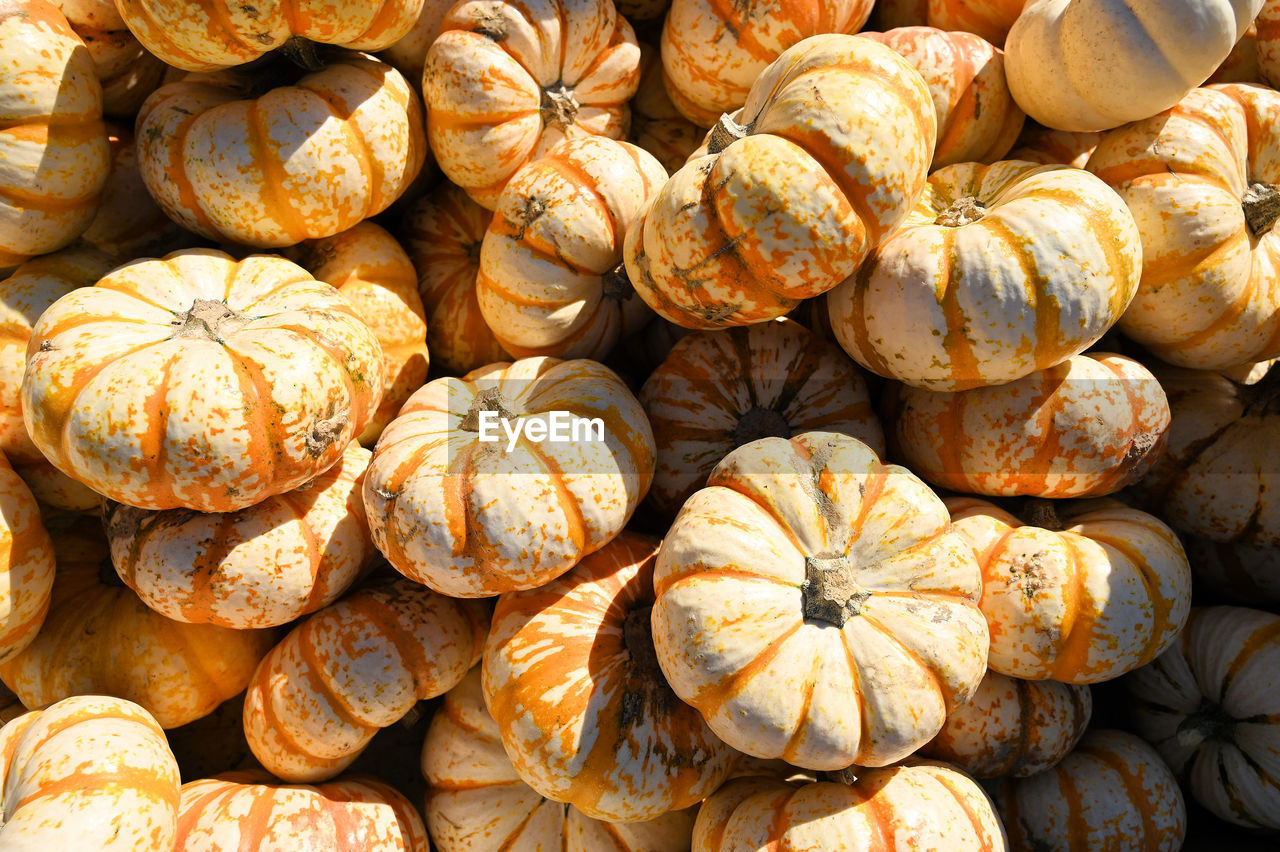 Full frame shot of pumpkins for sale