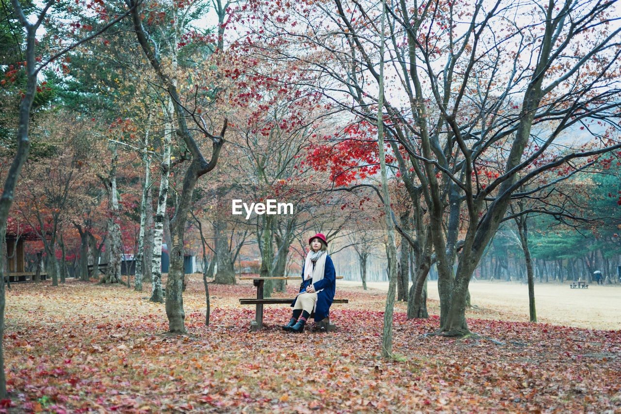 Young woman sitting on bench at park during autumn