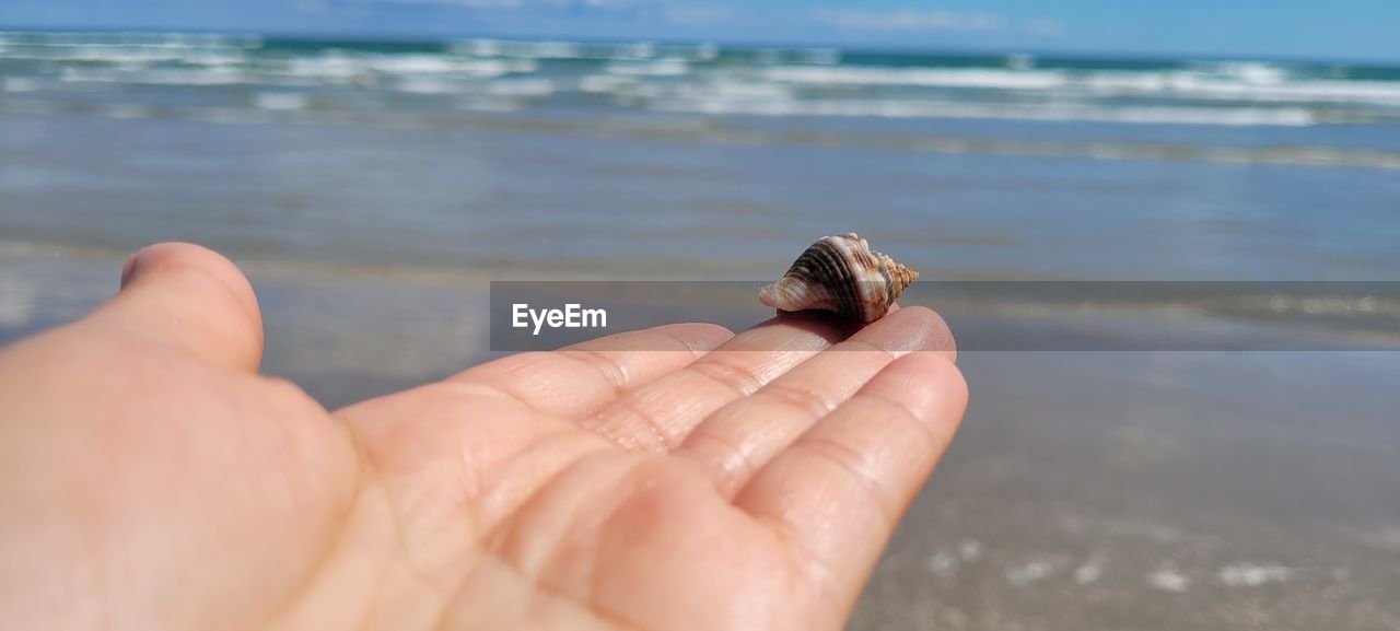 CROPPED IMAGE OF HAND HOLDING SEA SHORE