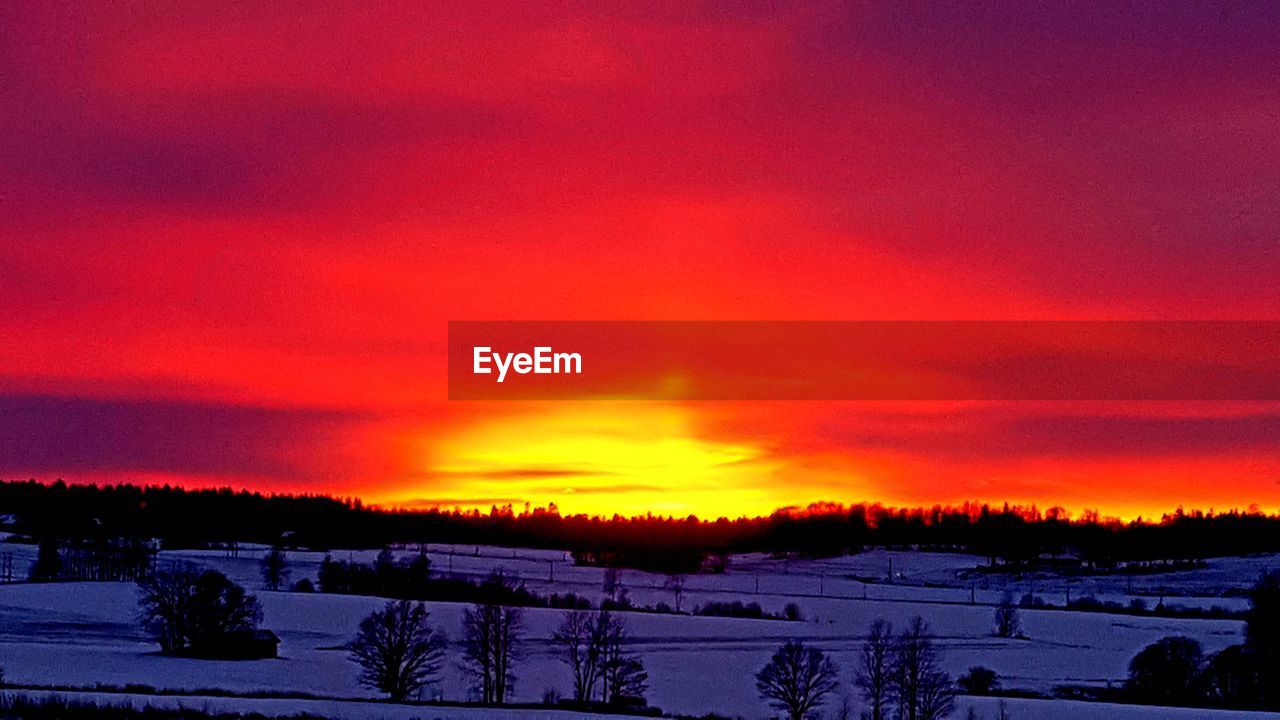 SNOW COVERED LANDSCAPE AGAINST ORANGE SKY