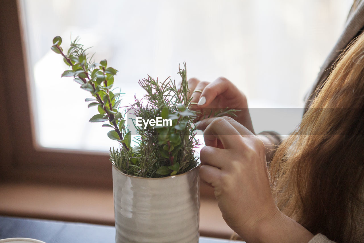 Midsection of woman picking leaves of herb plant at home