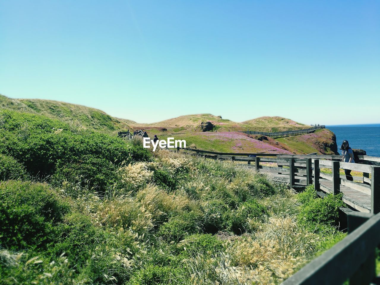 SCENIC VIEW OF TREE MOUNTAINS AGAINST CLEAR SKY