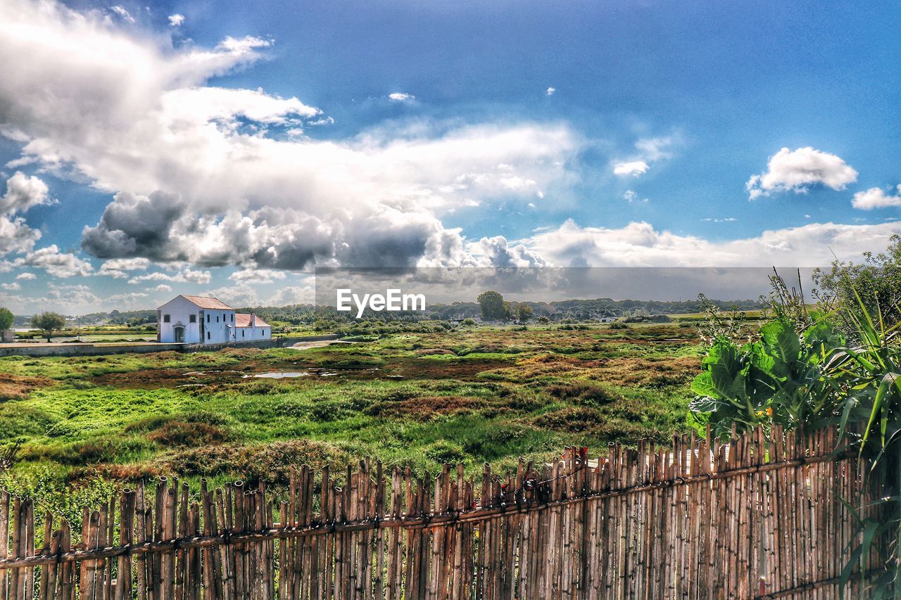 PANORAMIC SHOT OF AGRICULTURAL FIELD AGAINST SKY