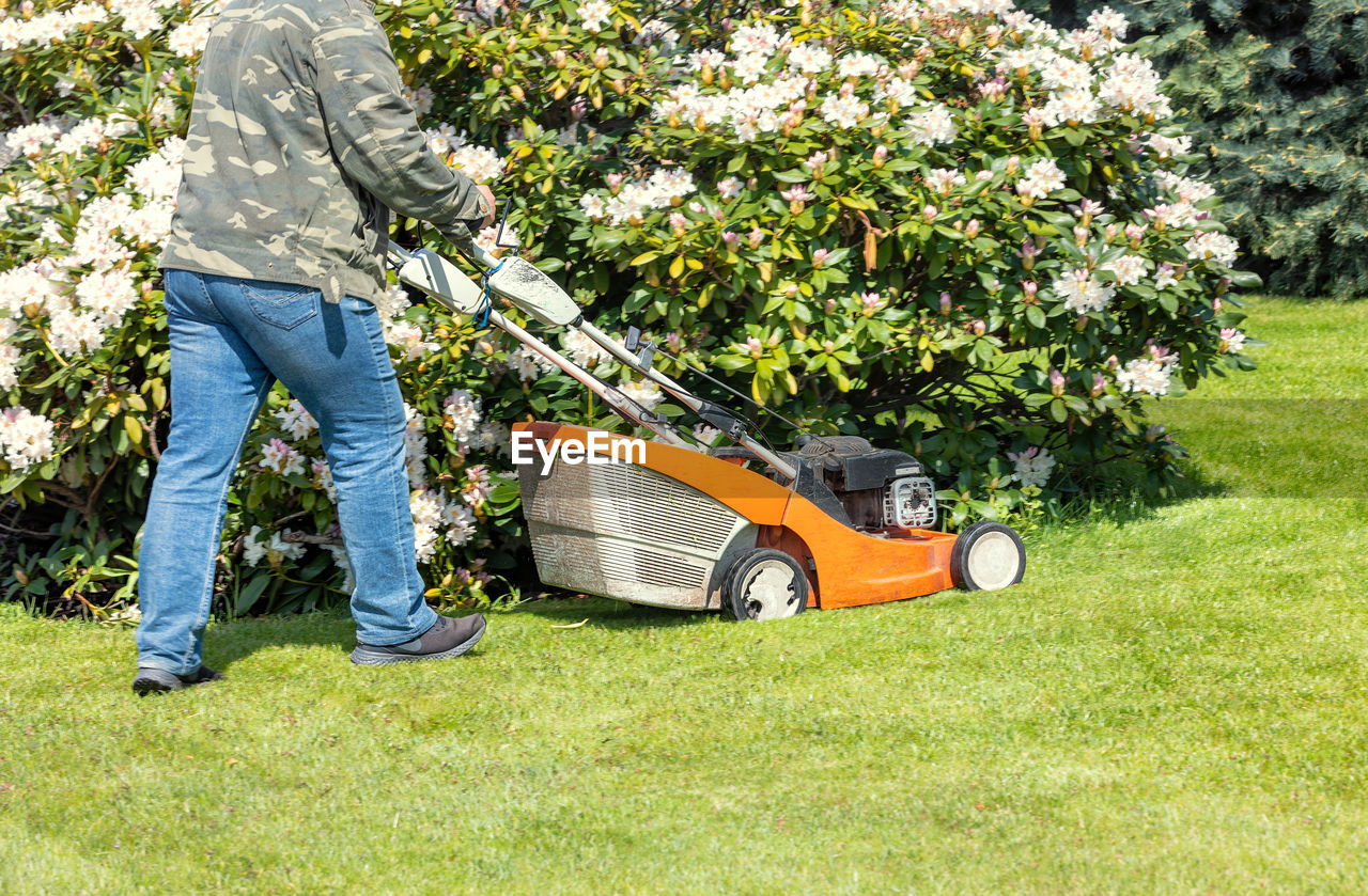 lawn, plant, outdoor power equipment, lawn mower, one person, nature, gardening, growth, mower, casual clothing, grass, day, green, adult, men, leisure activity, standing, vehicle, outdoors, gardening equipment, mode of transportation, garden, sunlight, lifestyles, jeans, tree, yard, front or back yard, transportation, full length, land vehicle, low section, car, motor vehicle