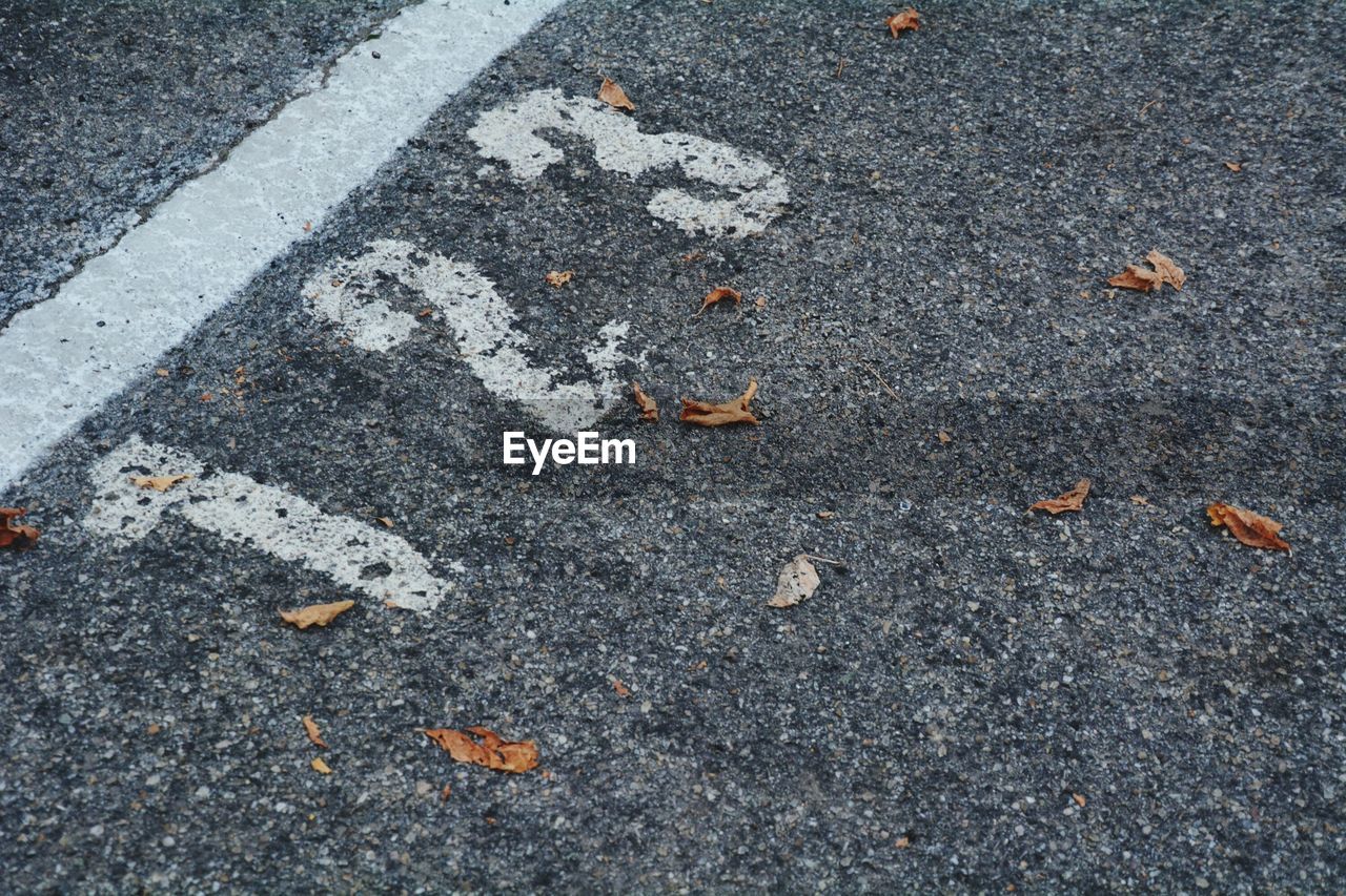 High angle view of leaves on road