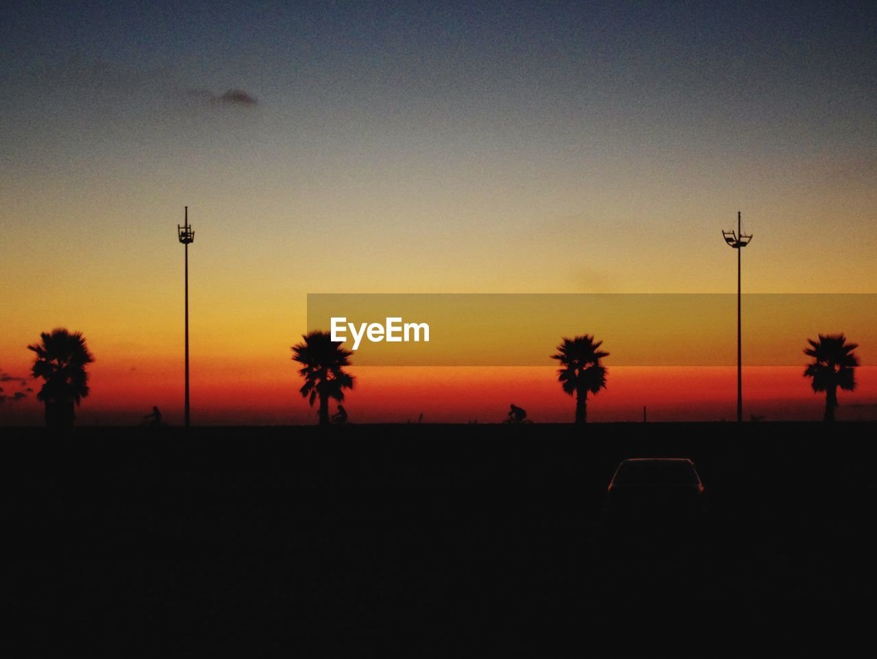 SILHOUETTE PALM TREES AGAINST ORANGE SKY