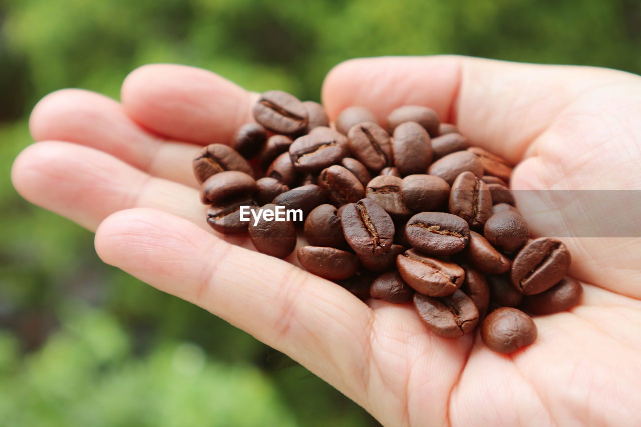 Closeup heap of roasted coffee beans in man's hand