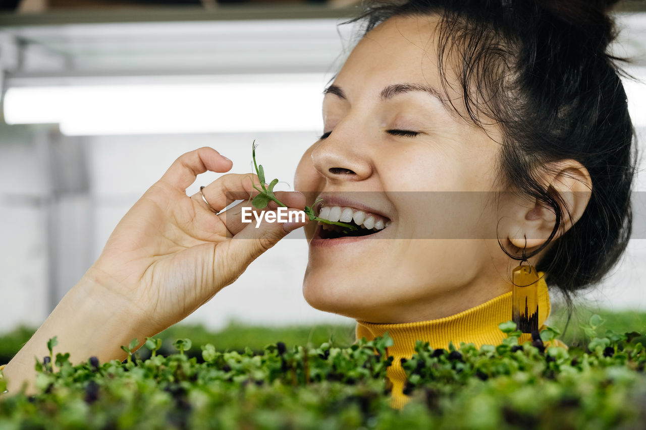 Young woman farmer growing microgreens on urban indoor vertical garden.  eating veggies