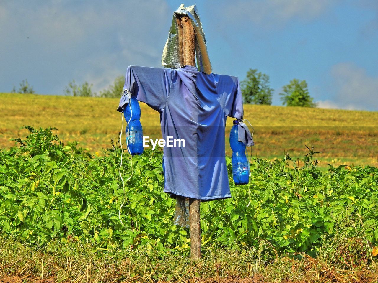 CLOTHES DRYING ON CLOTHESLINE