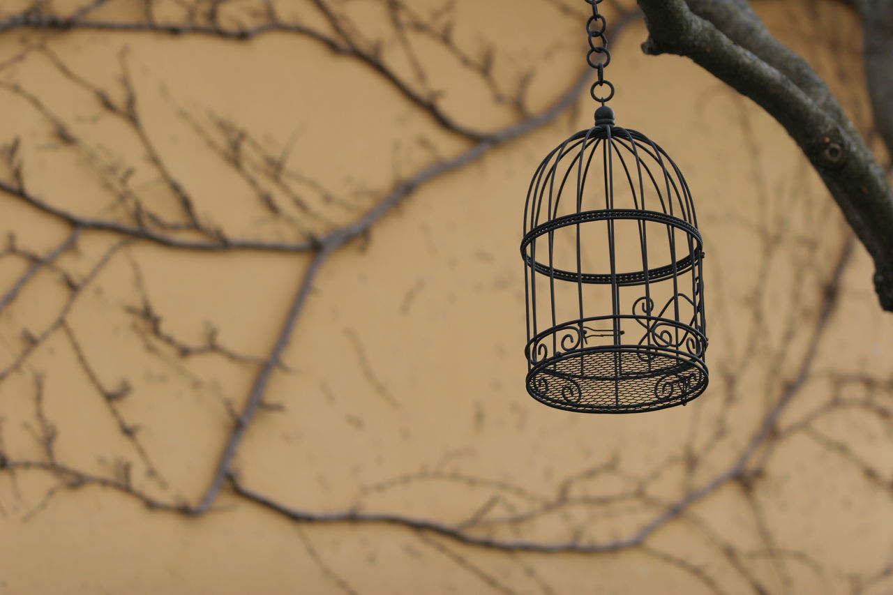 CLOSE-UP OF METAL HANGING FROM TREE