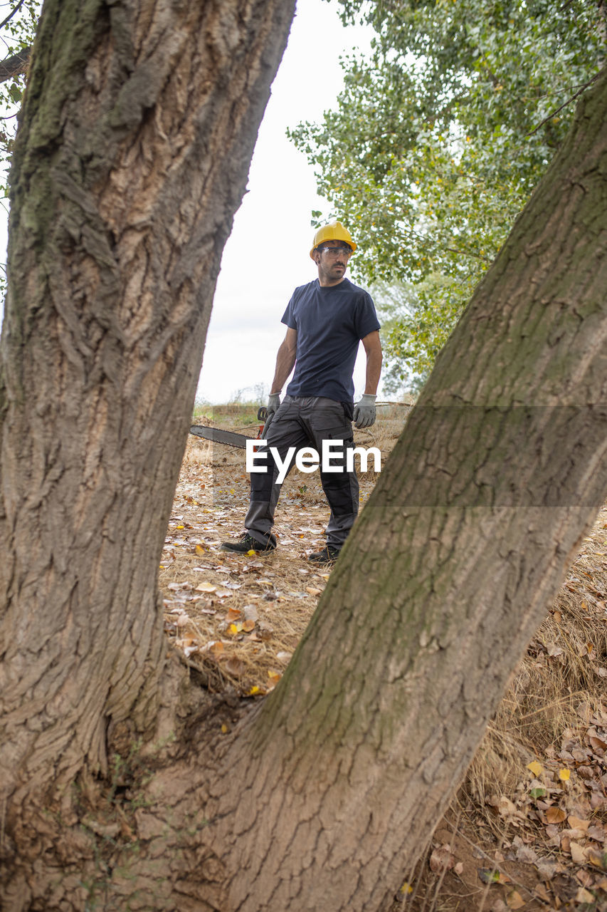 Low angle view of man holding chainsaw standing by tree trunk