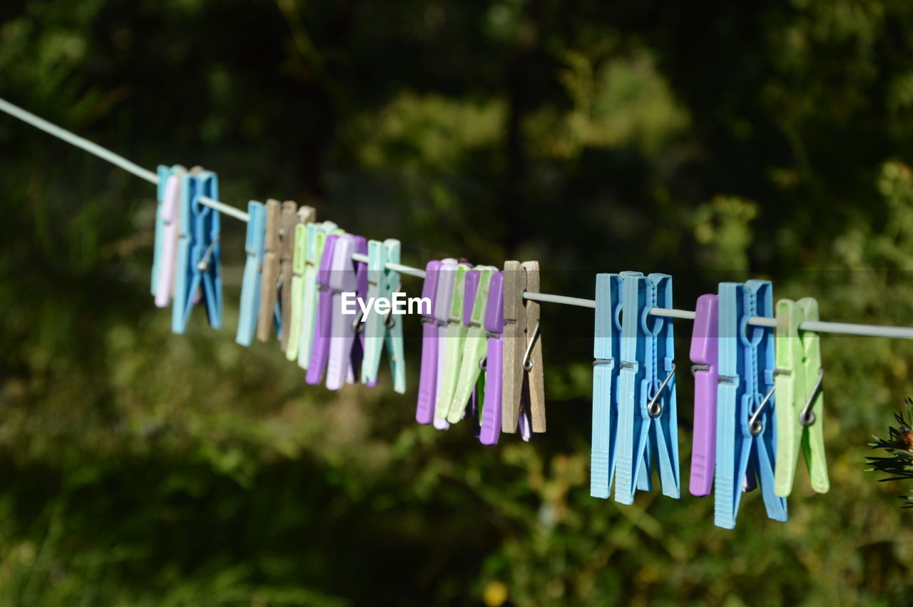 clothesline, hanging, laundry, clothespin, drying, clothing, chores, housework, textile, rope, no people, group of objects, in a row, multi colored, nature, washing, focus on foreground, green, hygiene, day, outdoors, cleaning, domestic life, plant, blue, tree, string, side by side, large group of objects, grass, coathanger, variation, routine, front or back yard