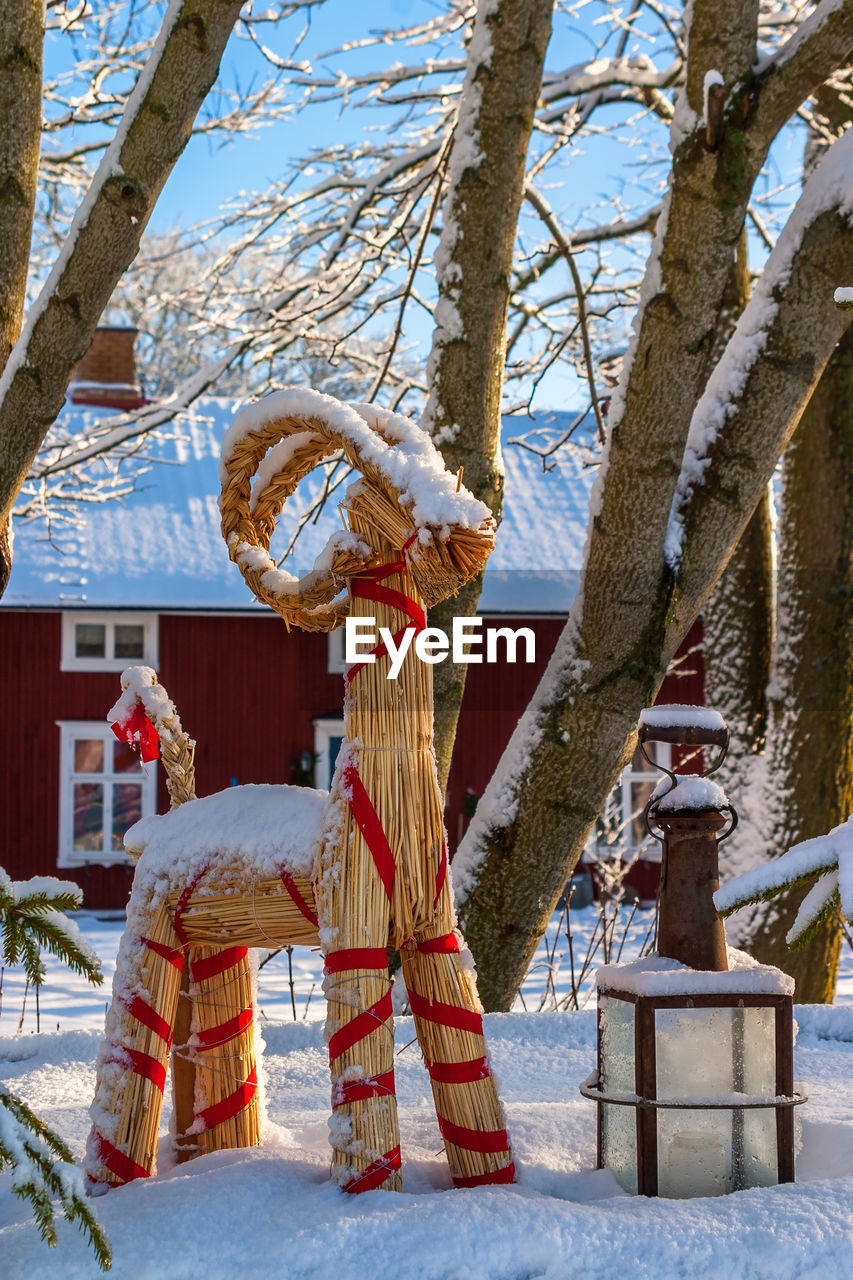 CLOTHES HANGING ON TREE BY BUILDING