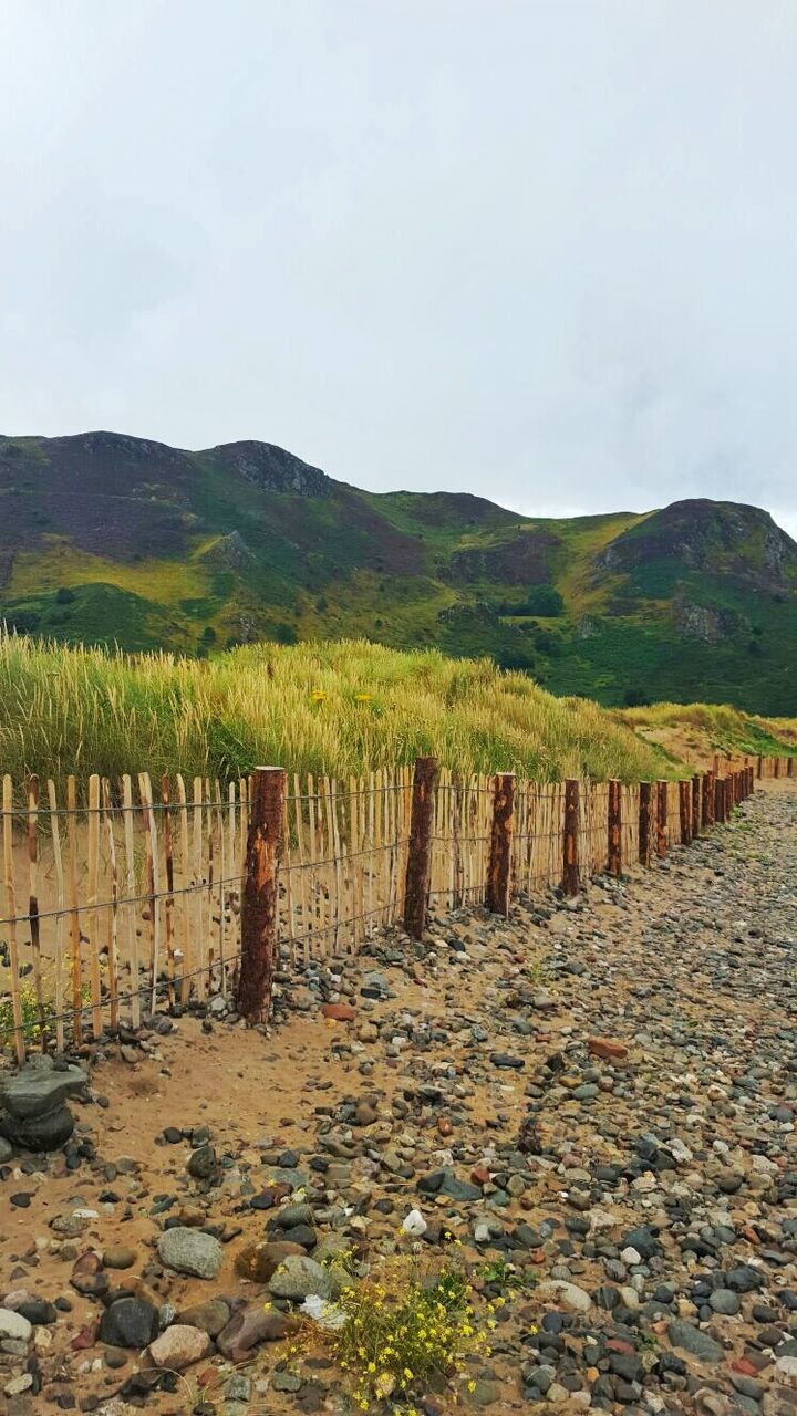 SCENIC VIEW OF RURAL LANDSCAPE