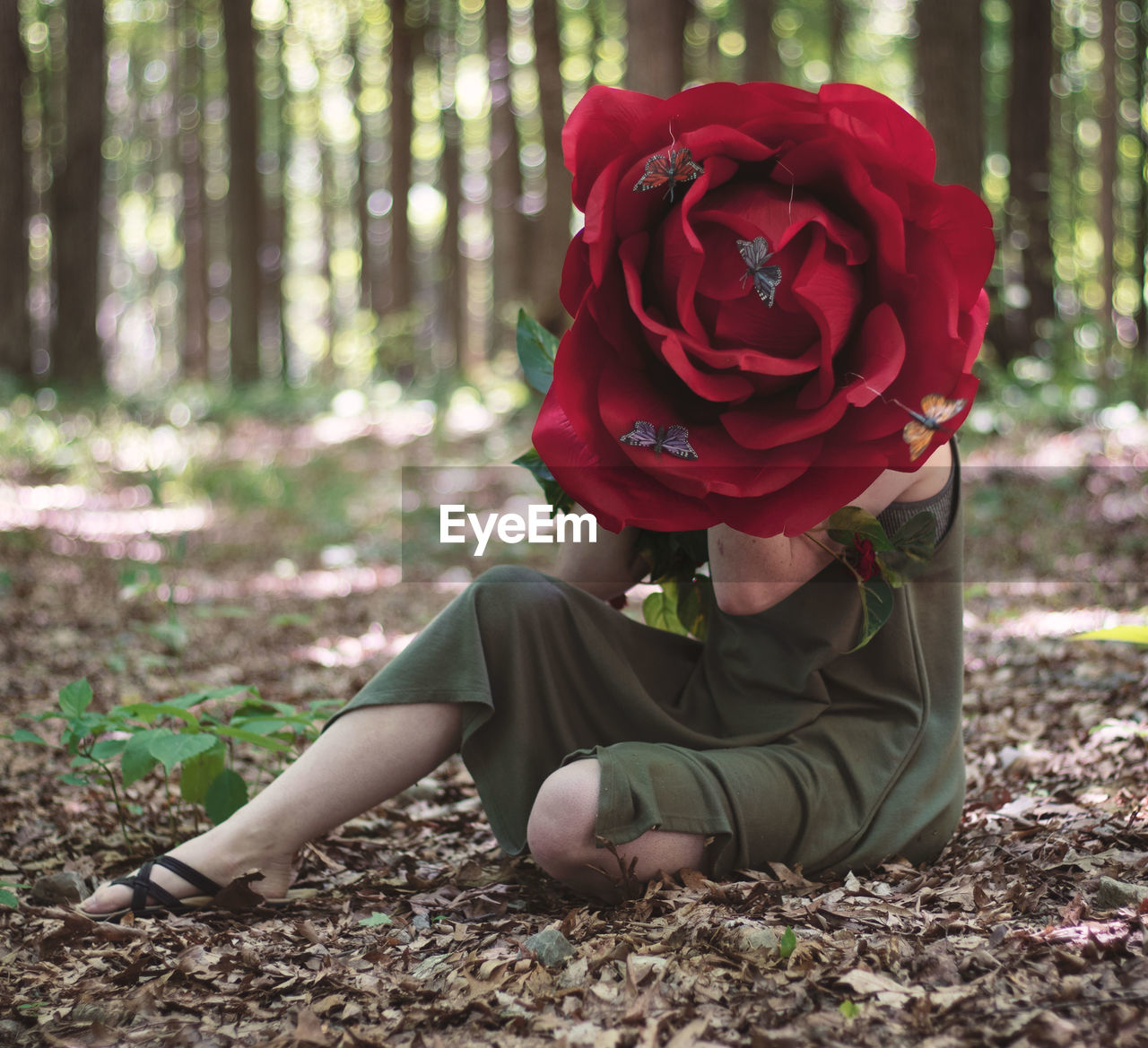 A person holding a huge rose in front of their face.