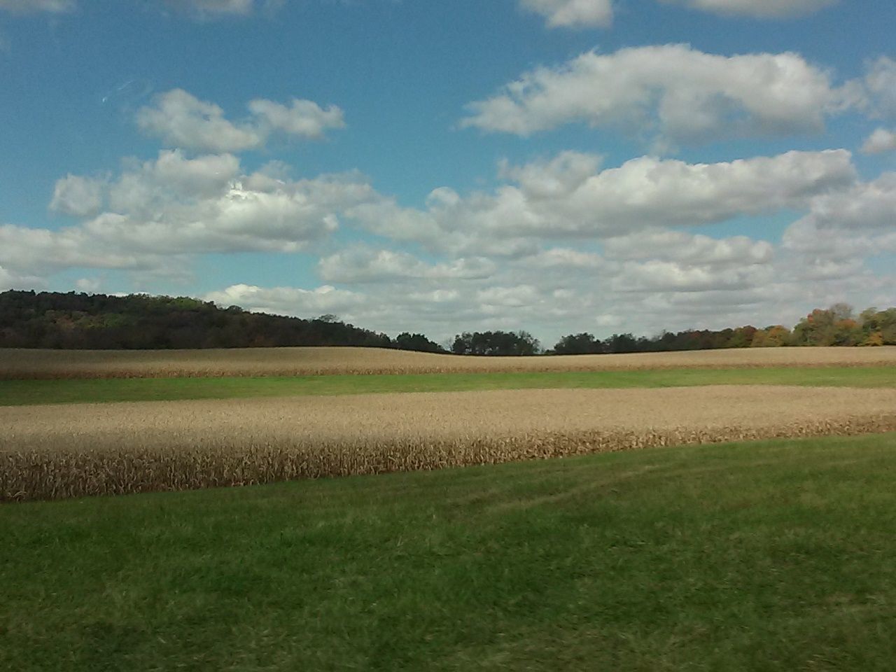 SCENIC VIEW OF GRASSY FIELD AGAINST SKY