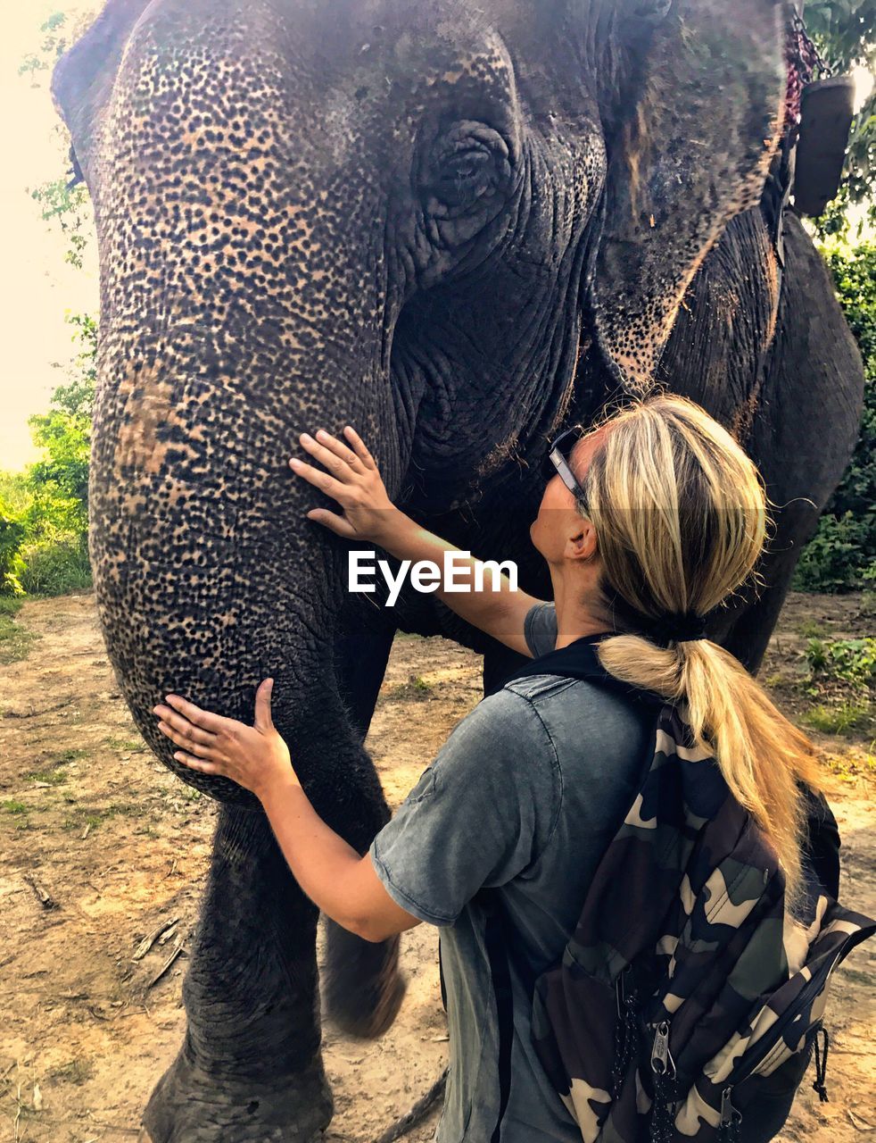 Side view of mature woman with backpack stroking elephant in forest
