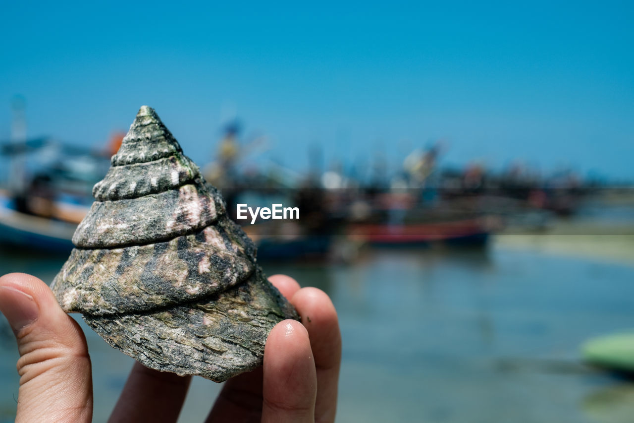 Cropped hand of person holding seashell by river against sky