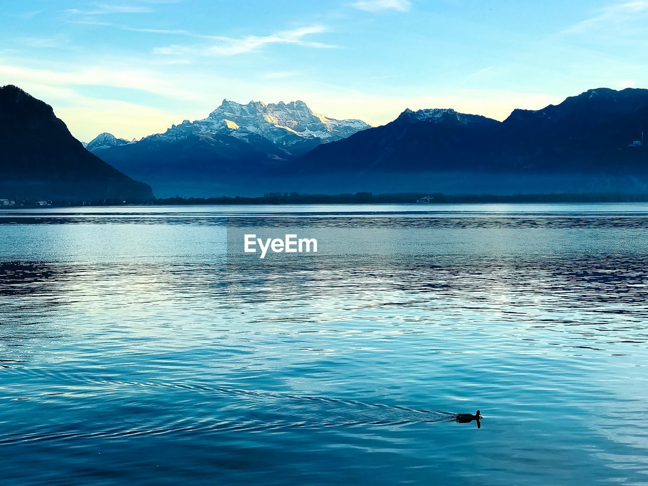 Scenic view of lake and mountains against sky with a duck