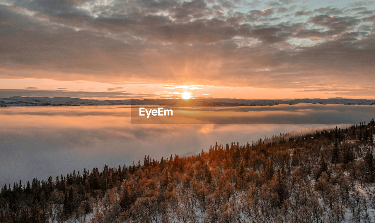sky, environment, cloud, plant, landscape, scenics - nature, sunset, beauty in nature, tree, nature, land, tranquility, sun, forest, mountain, tranquil scene, no people, dawn, winter, cold temperature, sunlight, coniferous tree, water, pine tree, snow, pinaceae, fog, woodland, outdoors, dramatic sky, non-urban scene, wilderness, evening, travel, pine woodland, travel destinations, idyllic, horizon, twilight, sunbeam, cloudscape, rural scene, orange color, atmospheric mood, social issues, tourism, blue