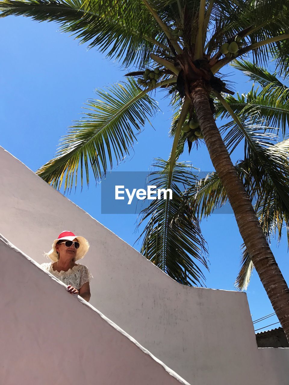 Low angle view of woman on steps against palm tree during sunny day