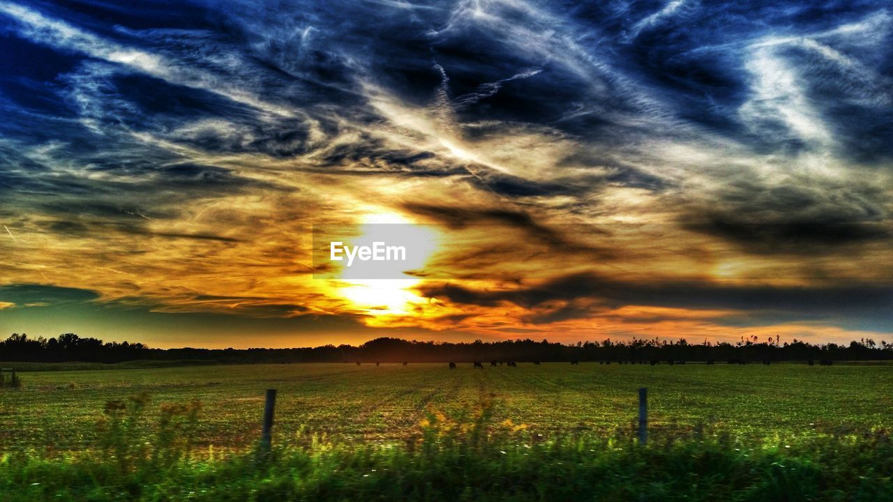 Scenic view of agricultural field against orange sky