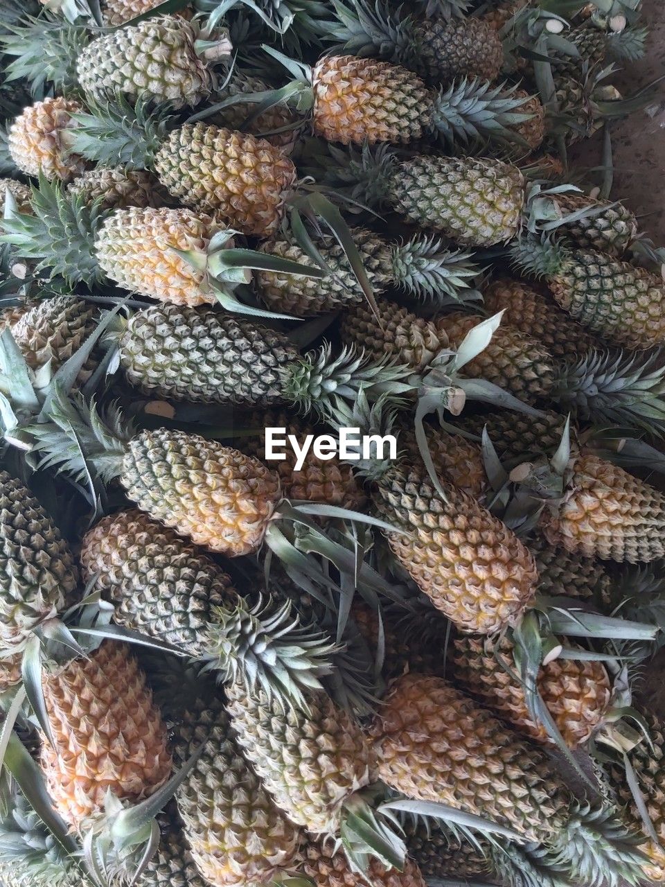 pineapple, food and drink, food, no people, plant, large group of objects, ananas, healthy eating, produce, conifer cone, freshness, wellbeing, abundance, full frame, fruit, day, market, backgrounds, high angle view, for sale, retail, tropical fruit, nature, outdoors, close-up