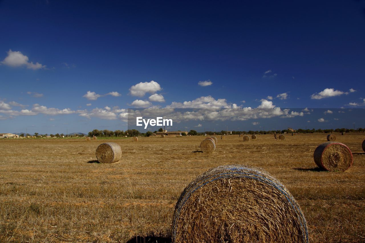 Hay bales on agricultural landscape against sky