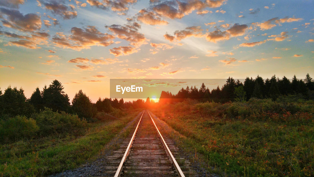 these days .... I work in Chambord Lake St-Jean, the morning view has arrived at work a stone's throw from the quarry and the asphalt plant .... It starts well the day Roberval-Saguenay Saguenay, Québec, Canada The Week On EyeEm Beauty In Nature Chambord Day Landscape Nature No People Outdoors Rail Transportation Railroad Track Scenics Sky Sunset The Way Forward Transportation Tree