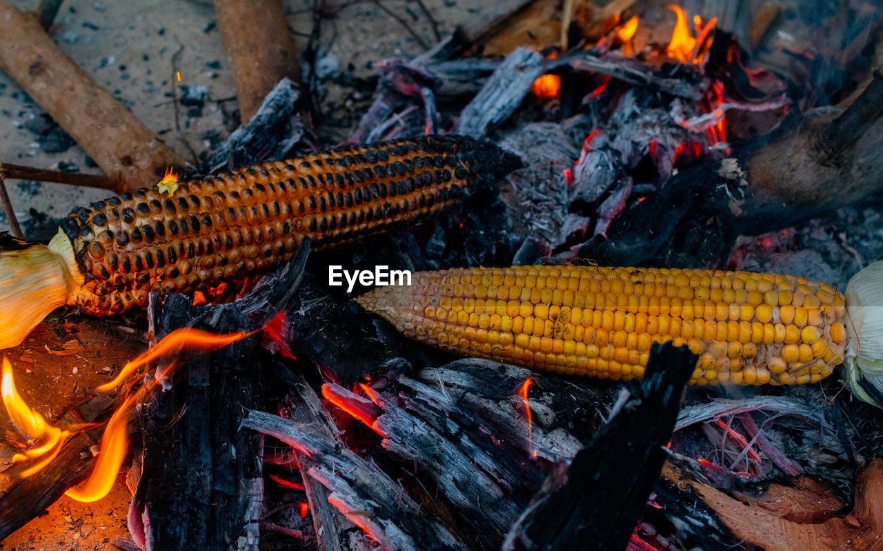 High angle view of cooking corn in bonfire 