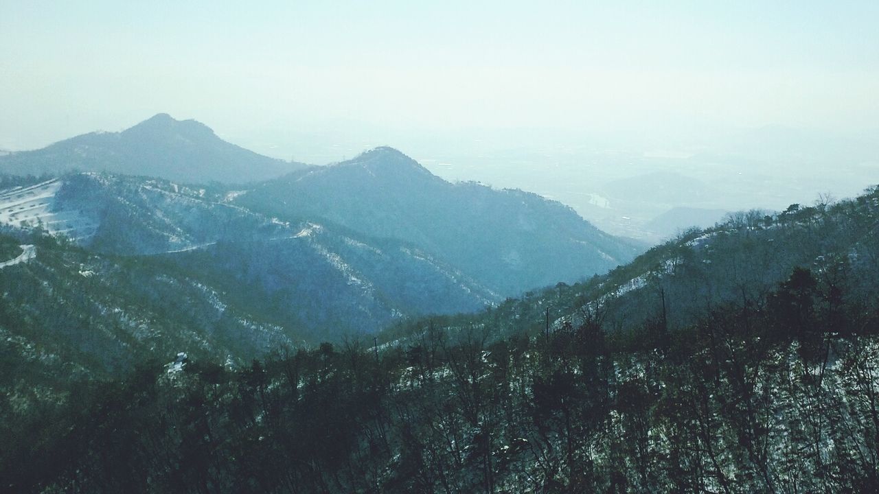 SCENIC VIEW OF MOUNTAINS AND TREES