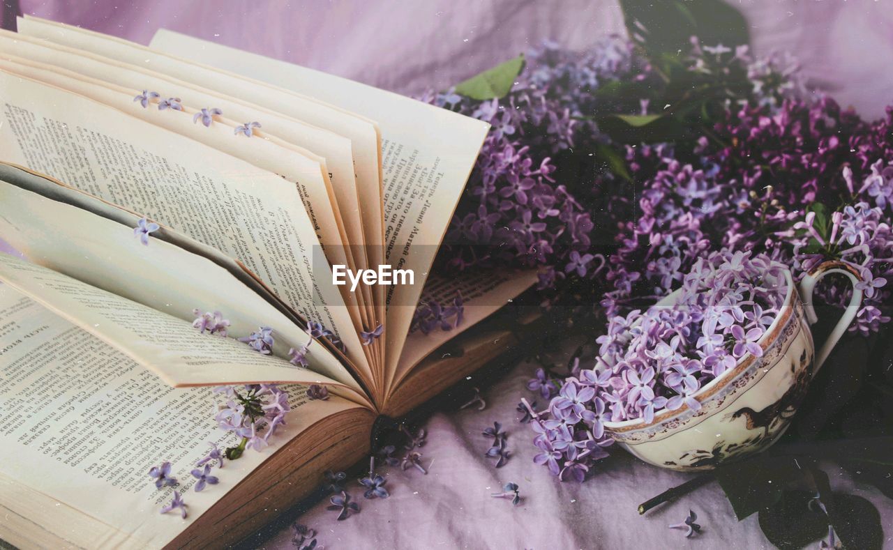 High angle view of purple flower on table and book