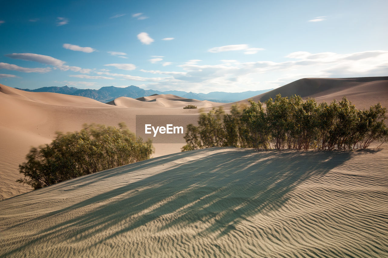 Scenic view of desert against sky