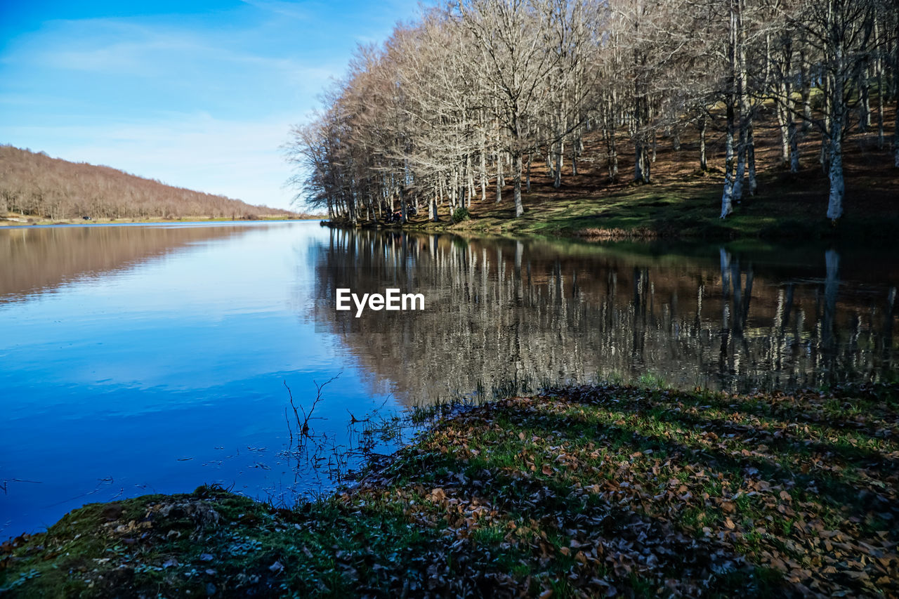 reflection, water, nature, plant, tree, river, beauty in nature, sky, tranquility, scenics - nature, autumn, flower, landscape, body of water, tranquil scene, no people, morning, growth, leaf, day, reservoir, land, environment, blue, non-urban scene, outdoors, pond, grass, waterway, idyllic