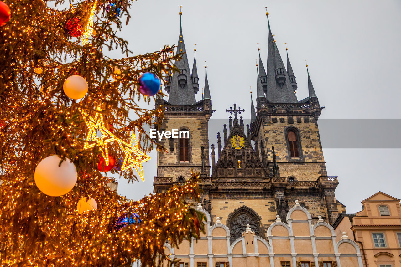 LOW ANGLE VIEW OF CHRISTMAS TREE AGAINST BUILDING