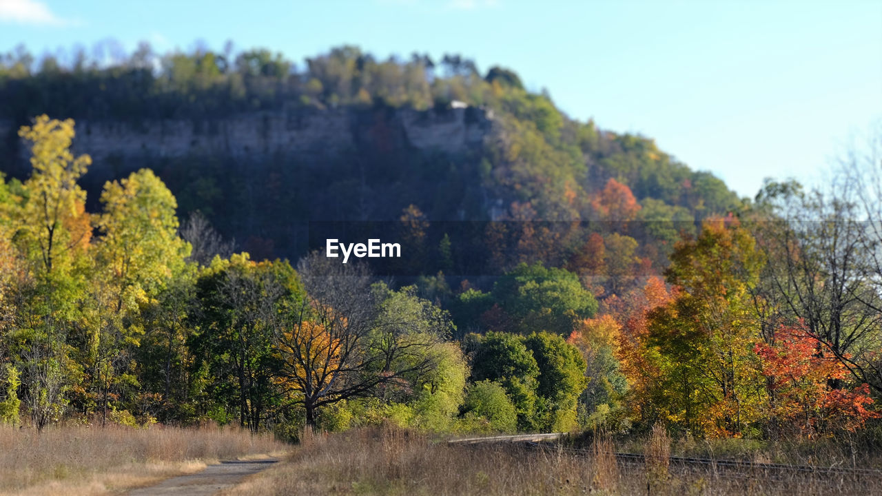 Scenic view of forest against sky during autumn