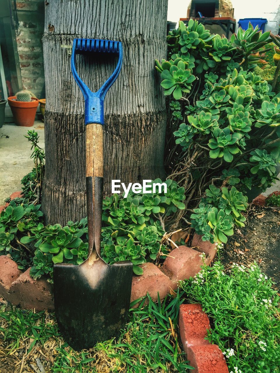 Close-up of garden shovel in backyard