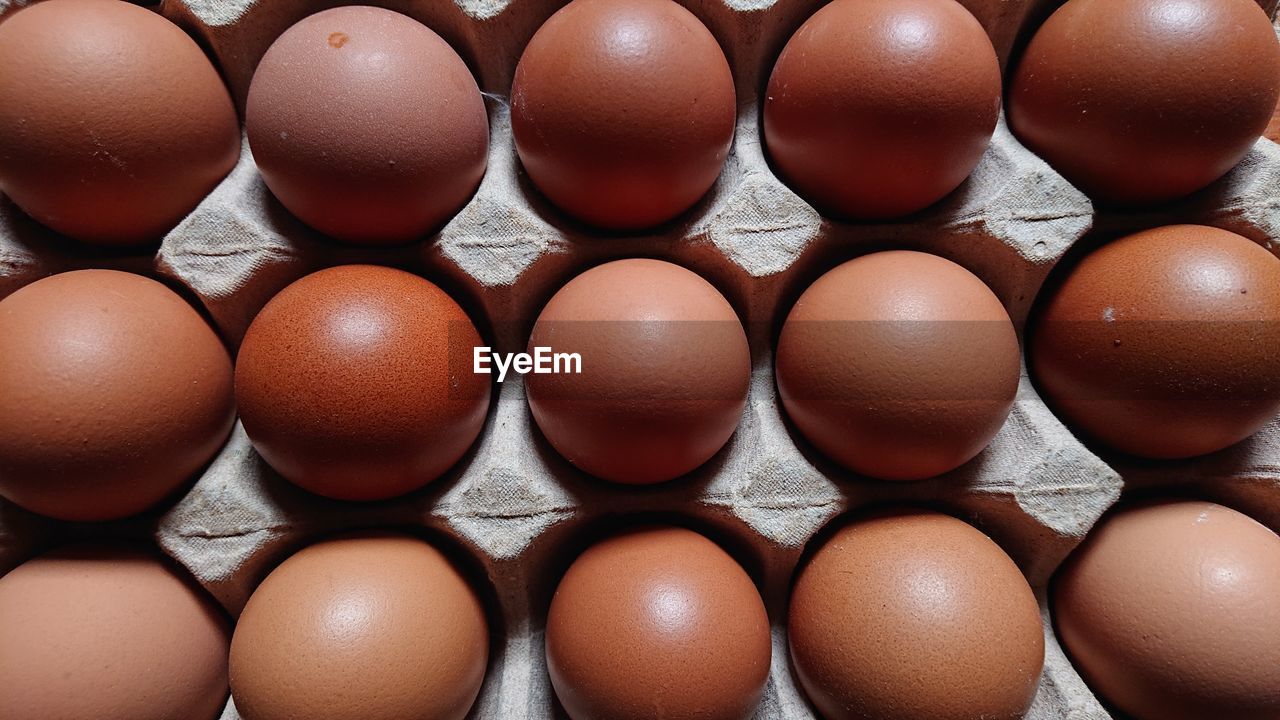 egg, food, brown, food and drink, fragility, egg carton, large group of objects, in a row, freshness, animal egg, no people, close-up, raw food, wellbeing, order, healthy eating, carton, abundance, arrangement, indoors, repetition, container, full frame, backgrounds, group of objects, protein, still life, box, directly above, organic, side by side, studio shot