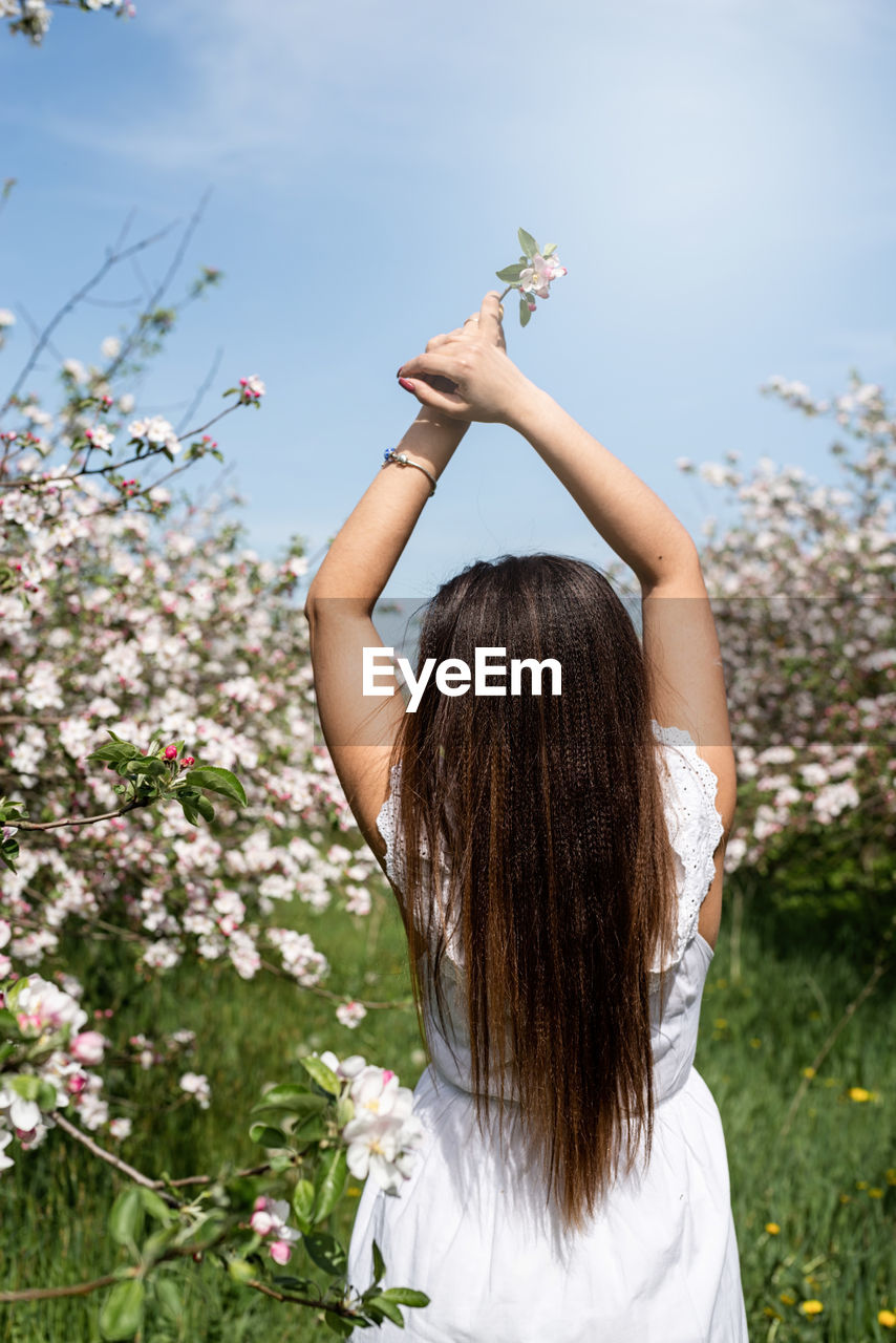 Rear view of woman holding flowers