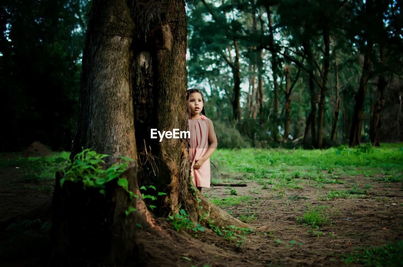 Cute girl looking away while standing by tree in forest