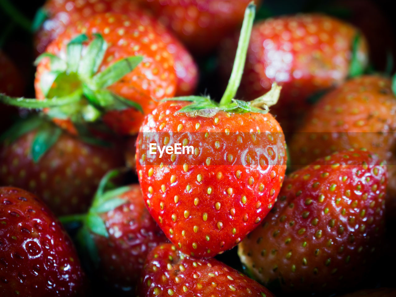 CLOSE-UP OF STRAWBERRY