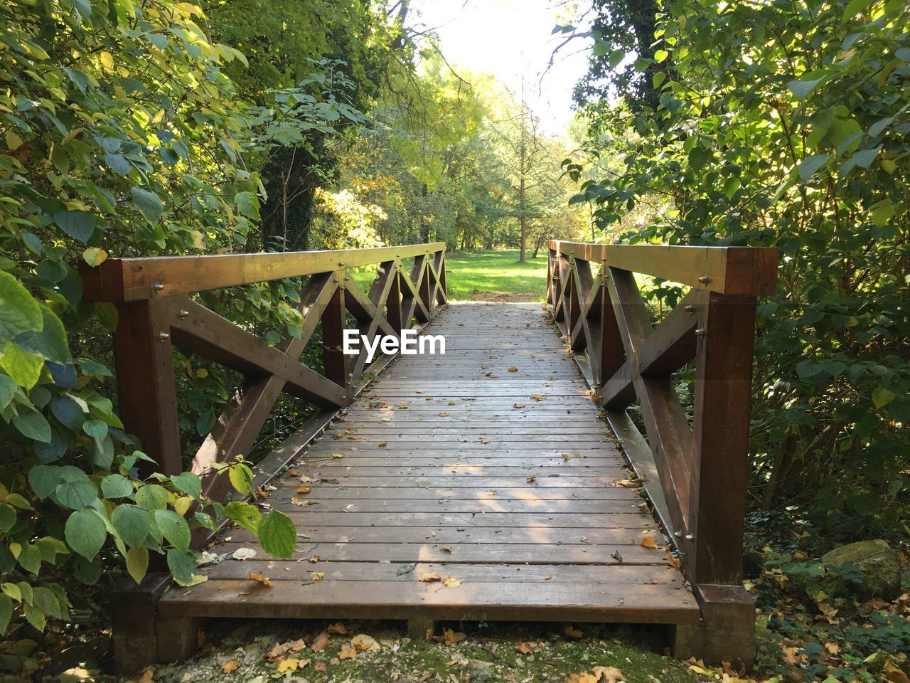 WOODEN WALKWAY AMIDST PLANTS