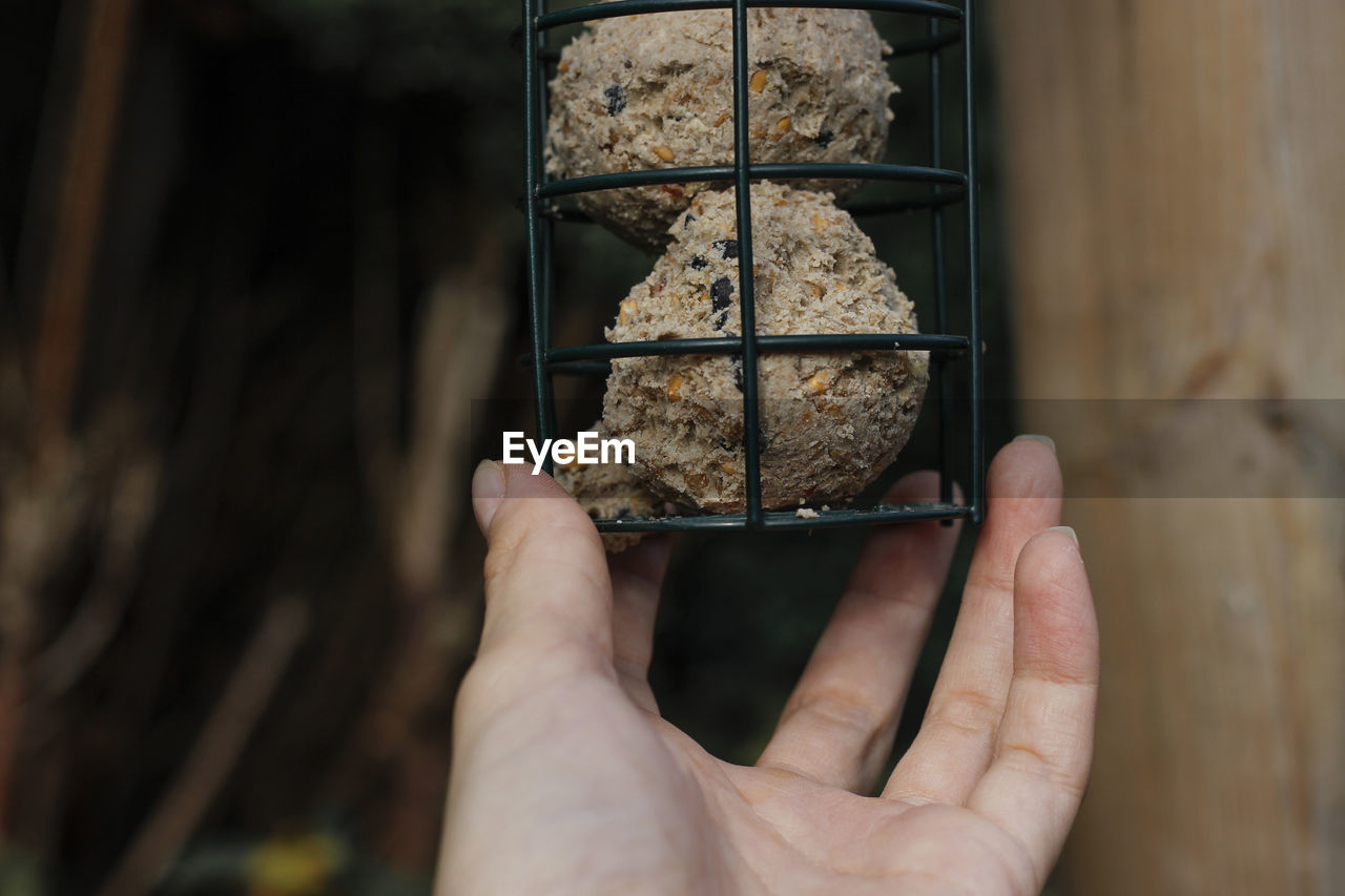 Woman's holding bird seed feeder.
garden wild bird feeder