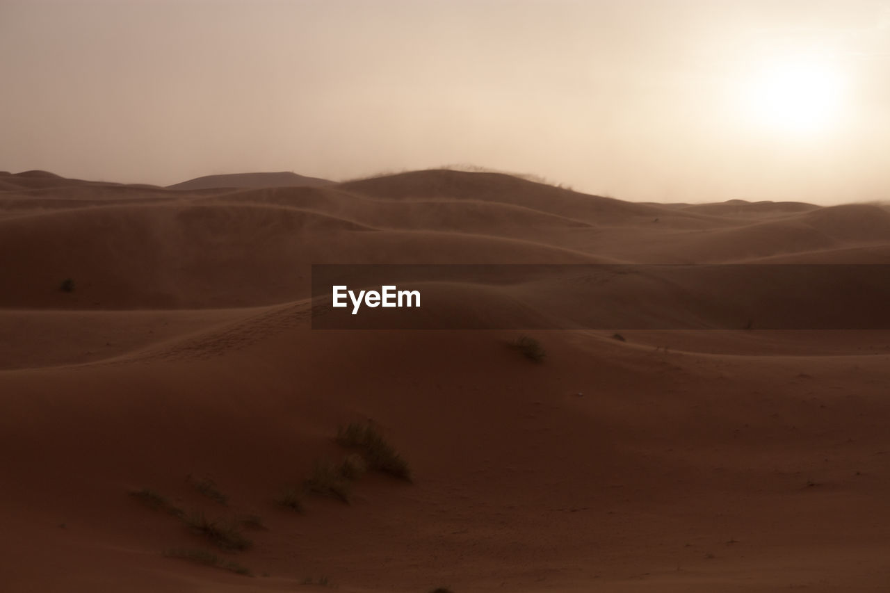 VIEW OF DESERT