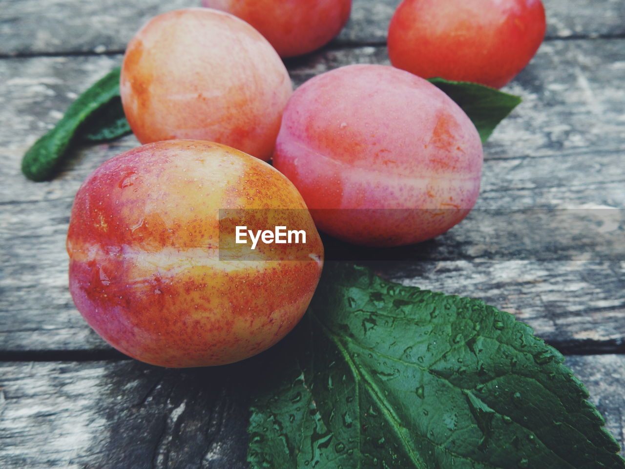 Close-up of ripe plums